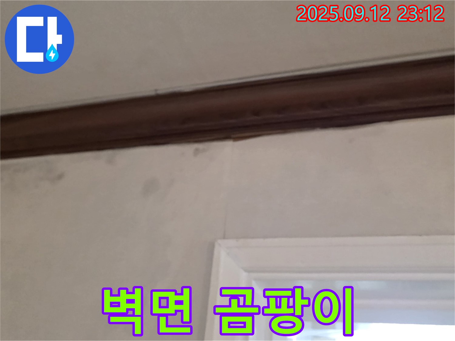 중계동 현대5차 아파트 벽면 누수 - 곰팡이