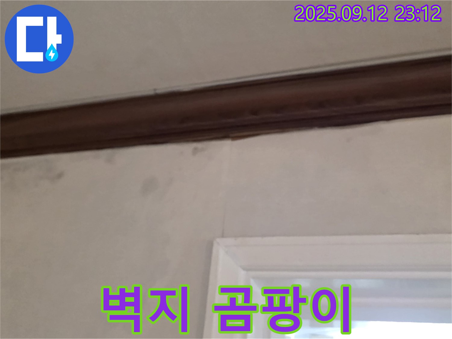 중계동 현대5차 아파트 벽지 누수 - 곰팡이