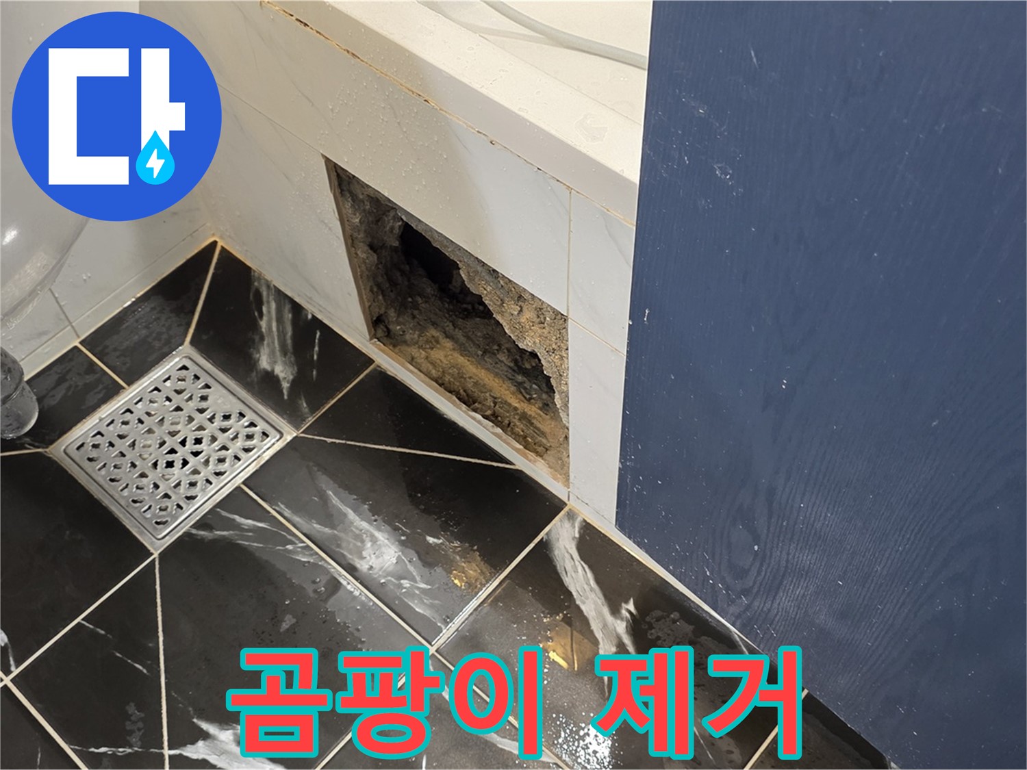 중계동 현대5차 아파트 - 욕실 점검구 곰팡이 제거 작업