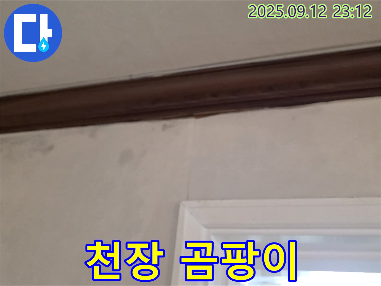 중계동 현대5차 아파트 천장 누수 - 곰팡이 발생으로 인한 피해