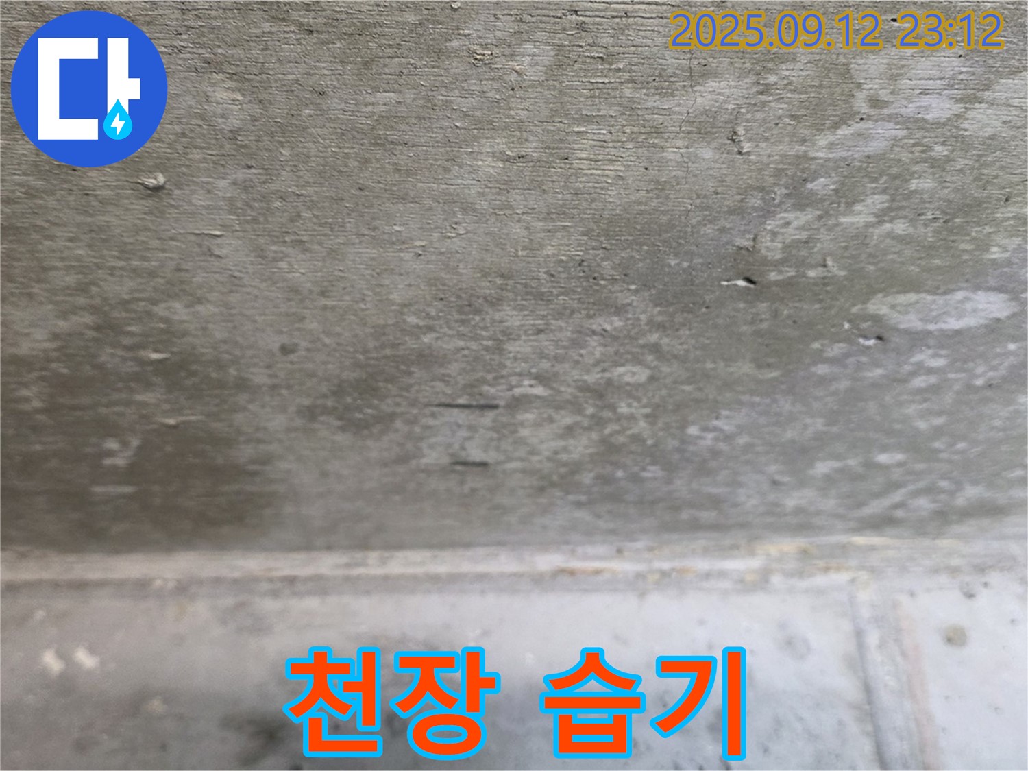 중계동 현대5차 아파트 천장 습기 - 누수 초기 증상 확인 및 정밀 진단