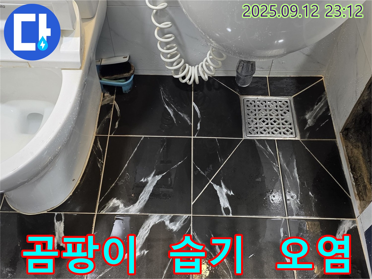 중계동 현대5차 욕실 - 벽면 타일 안쪽 곰팡이와 습기로 인한 오염