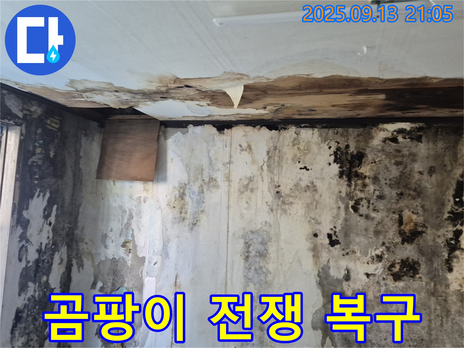 도봉구 창동 주택 - 곰팡이와의 전쟁을 선포하고 긴급 복구 작전에 돌입하는 모습을 담은 이미지입니다.