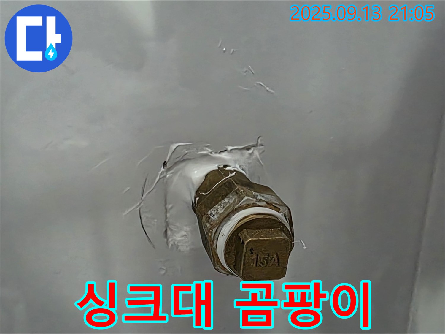싱크대 하부장 - 곰팡이 - 배수 불량