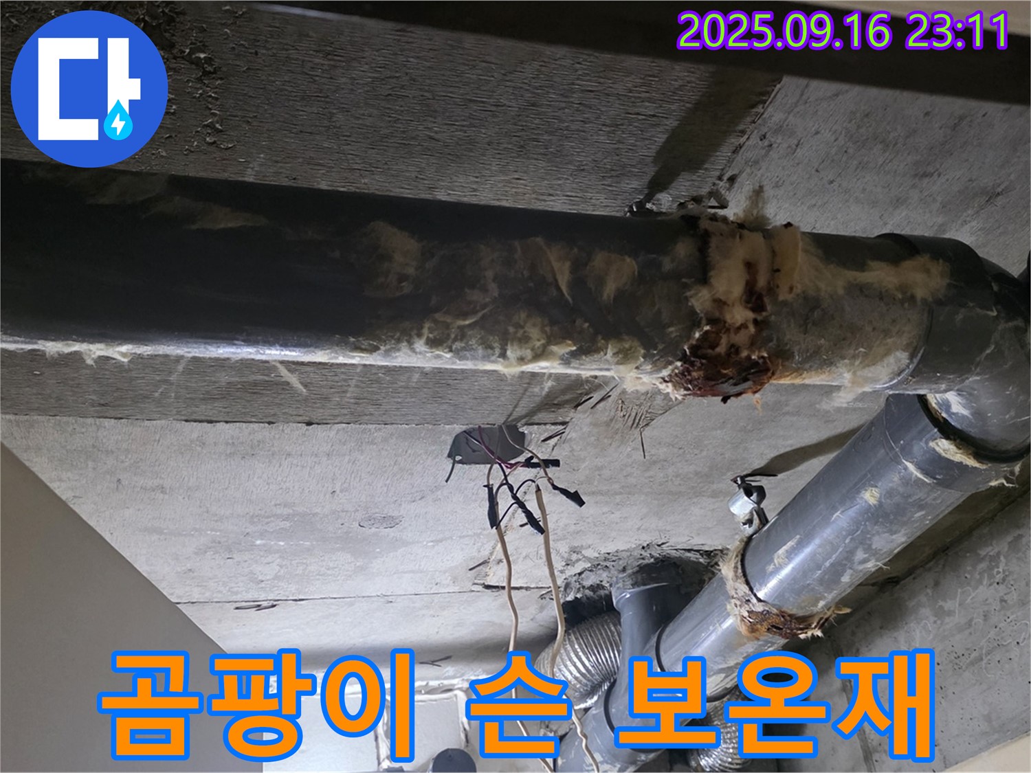 곰팡이 슨 배관 보온재 - 교체가 시급합니다.