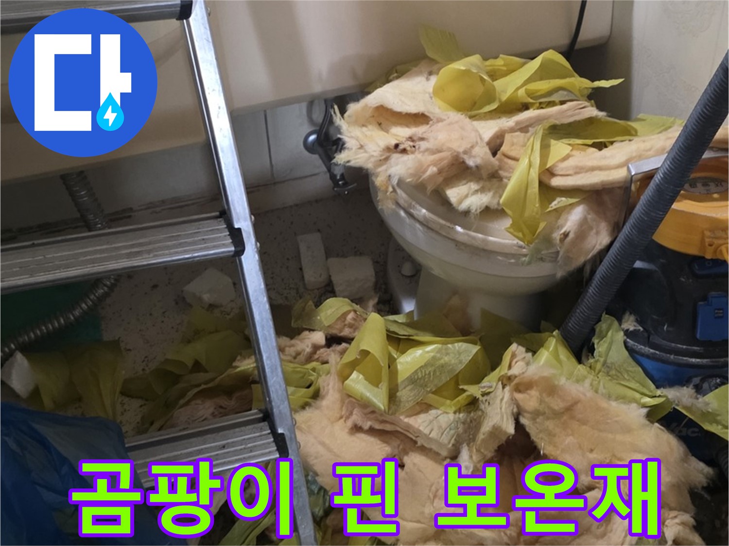 곰팡이 핀 보온재 - 은평구 신사동 누수