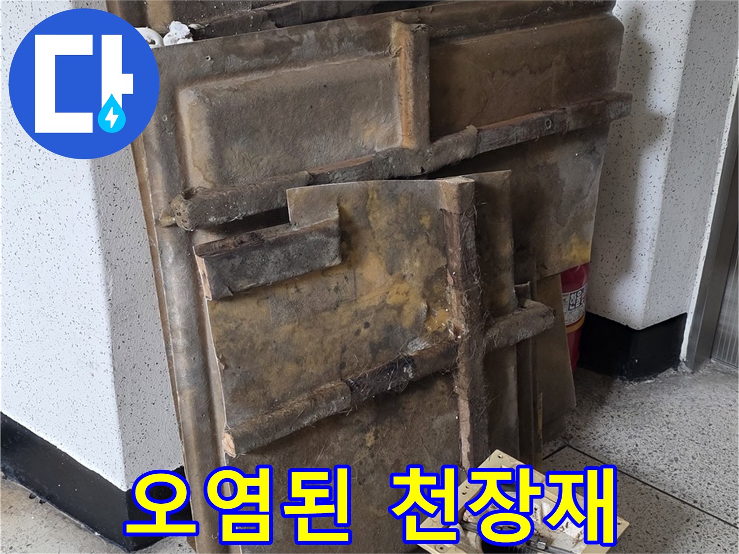 곰팡이와 먼지로 뒤덮인 천장재와 조명 - 건강에 해로워요
