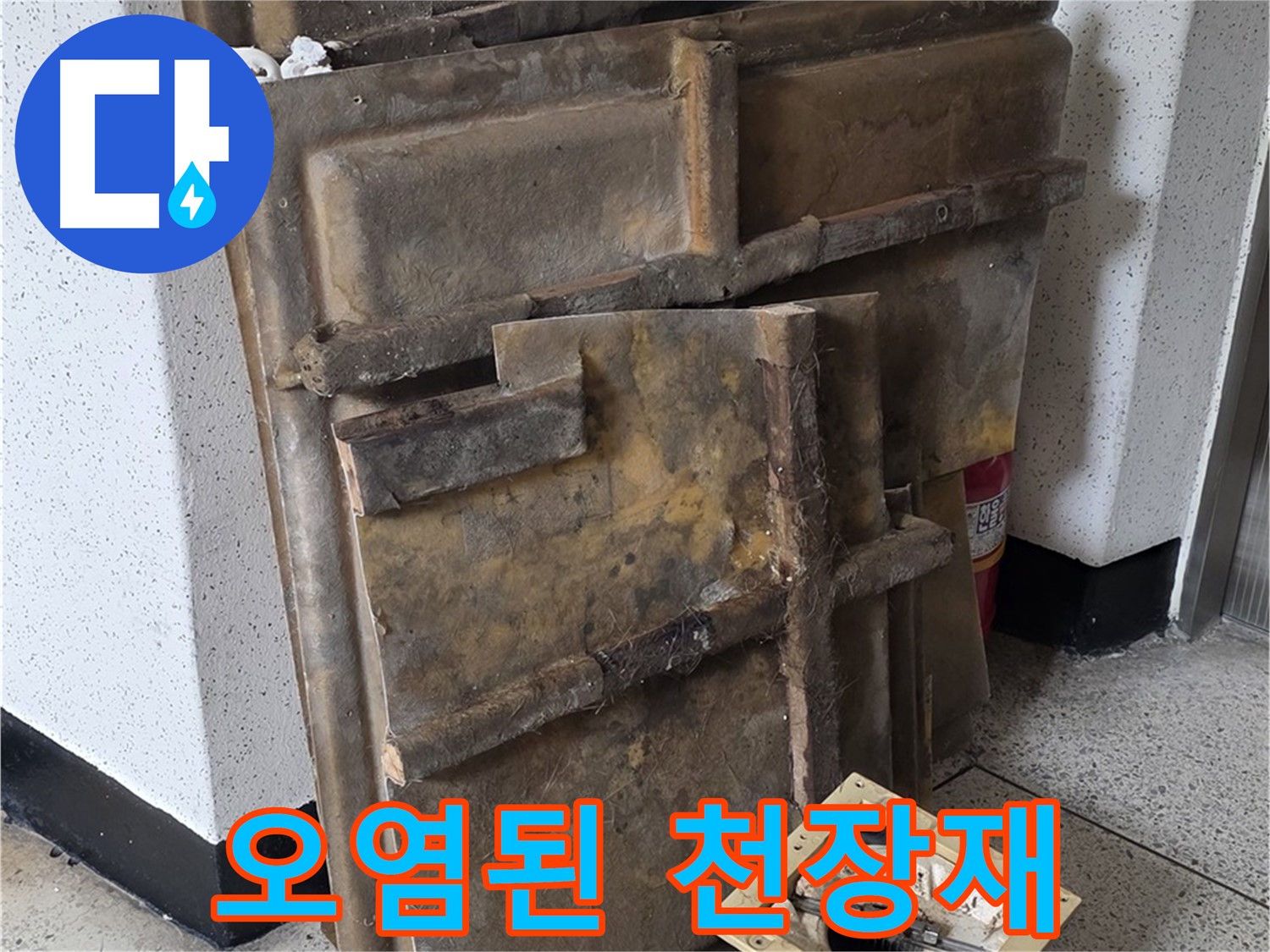 누적된 습기로 눅눅해진 천장재와 조명 - 교체만이 답