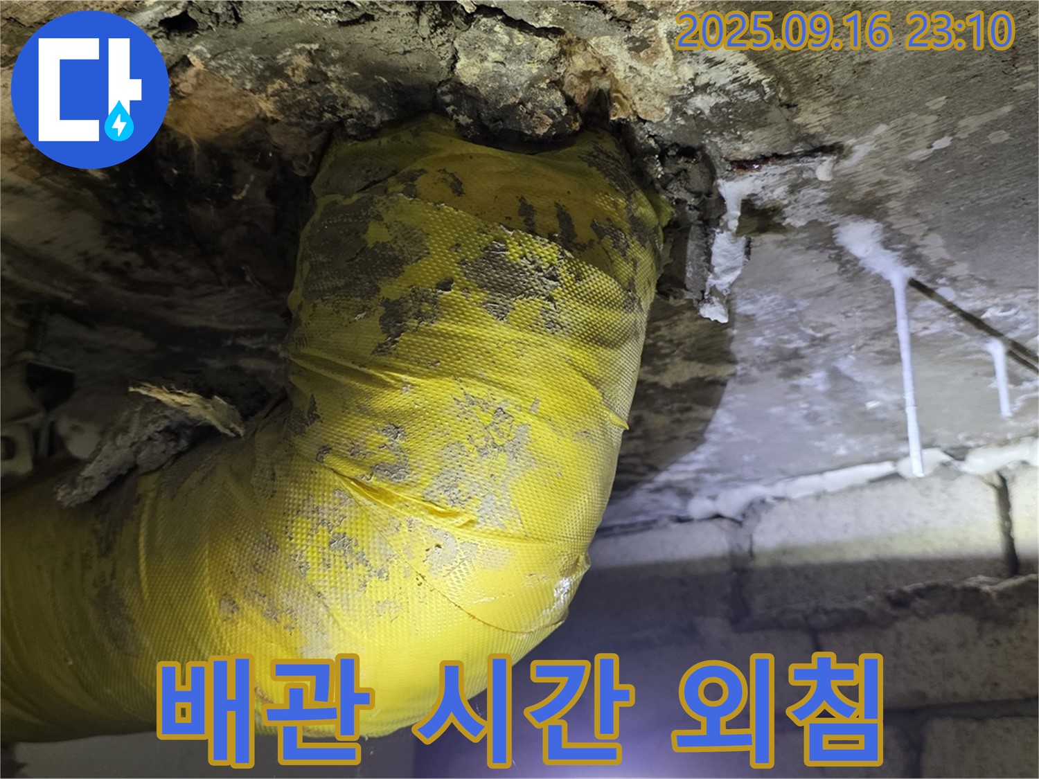 멈춰버린 시간 속 외침 - 노란 배관의 숨겨진 누수를 찾아라!