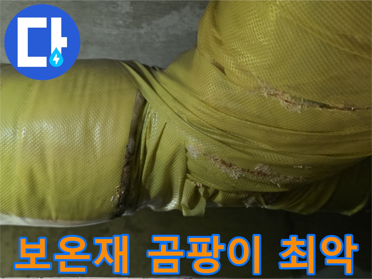 보온재 속 곰팡이 - 실내 공기 최악, 건강 위협 최고조, 전문적인 케어 필요