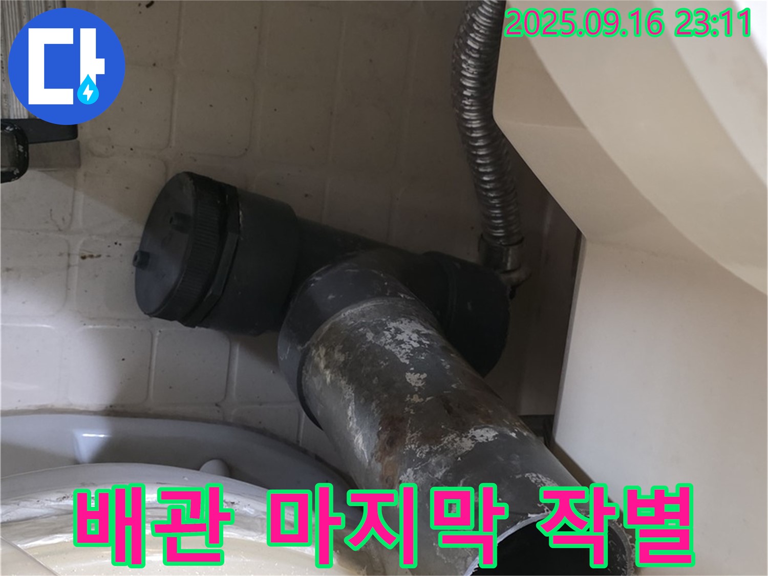 새절역 현대아파트 - 낡은 배관의 마지막 작별 - 은평구 신사동 변기 물샘