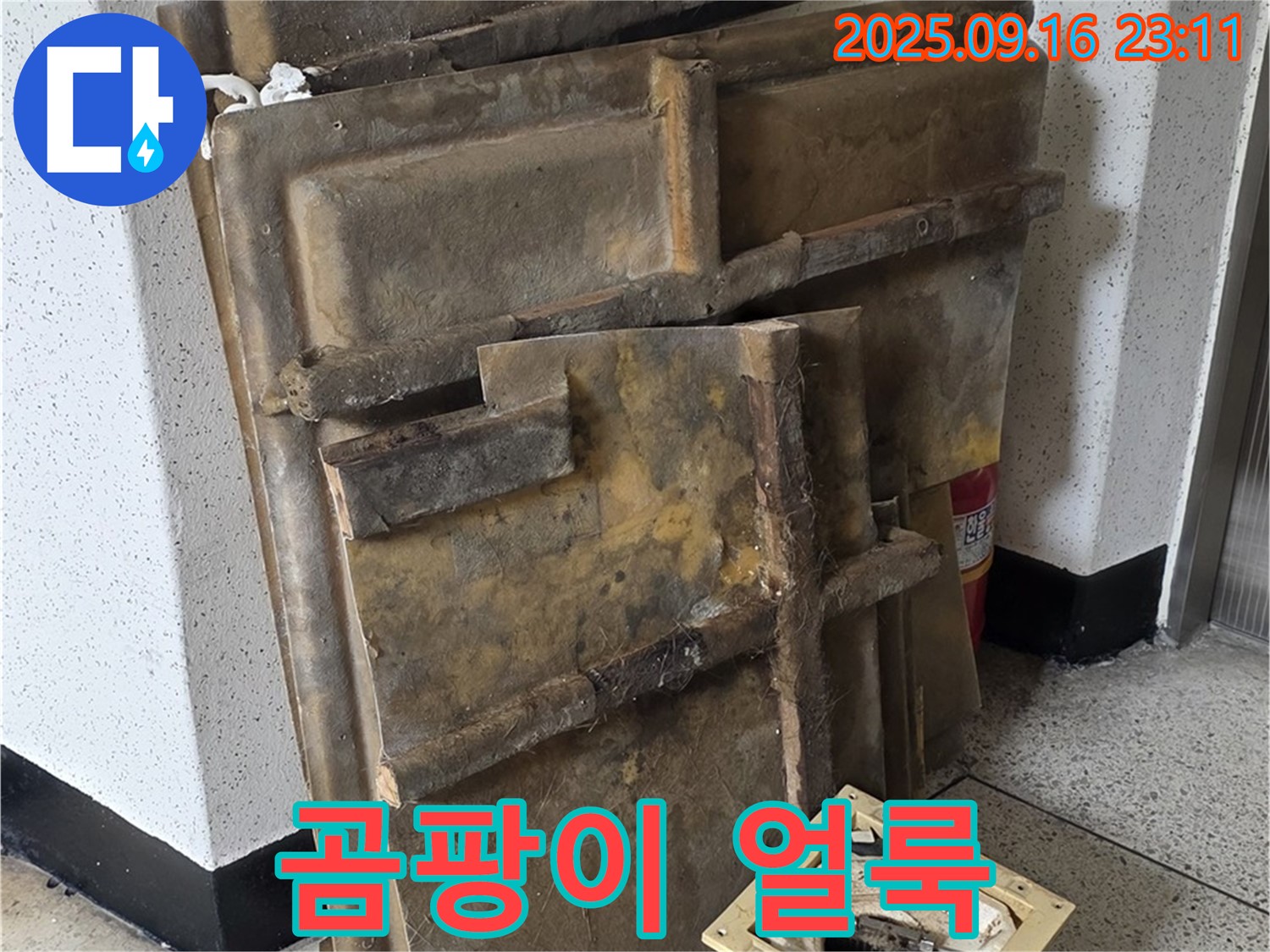 새절역 현대아파트 누수 - 곰팡이 얼룩으로 뒤덮인 폐기될 텍스와 조명