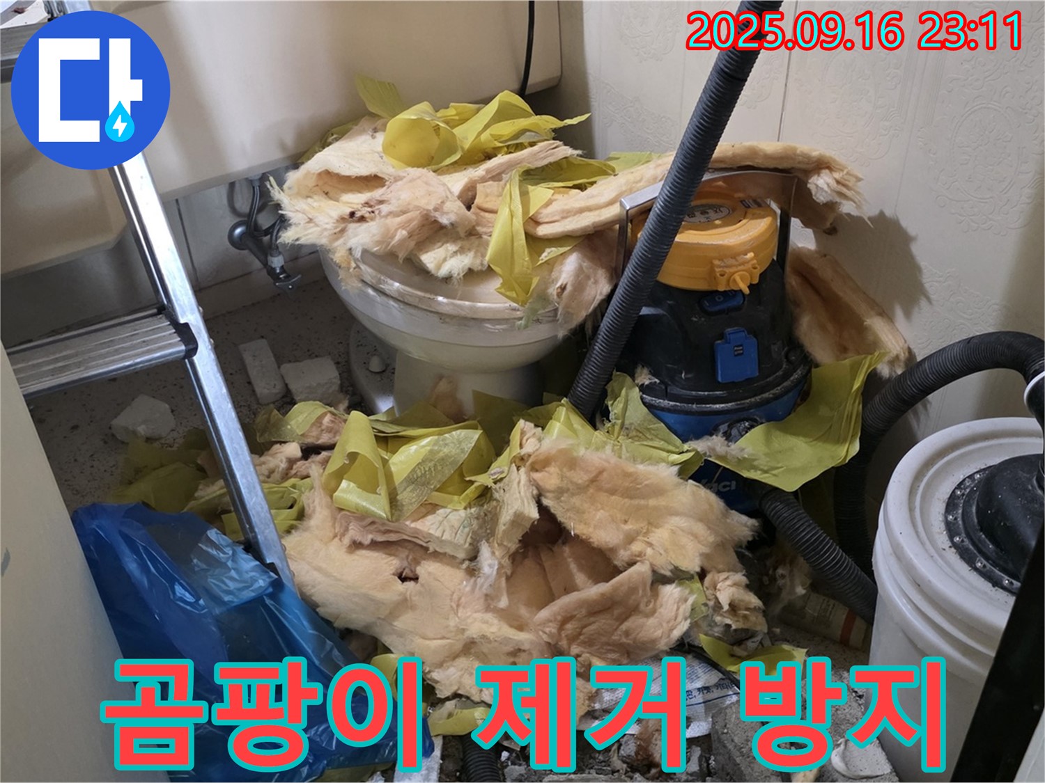 새절역현대아파트 누수 - 천장 곰팡이 제거 및 방지 작업 진행