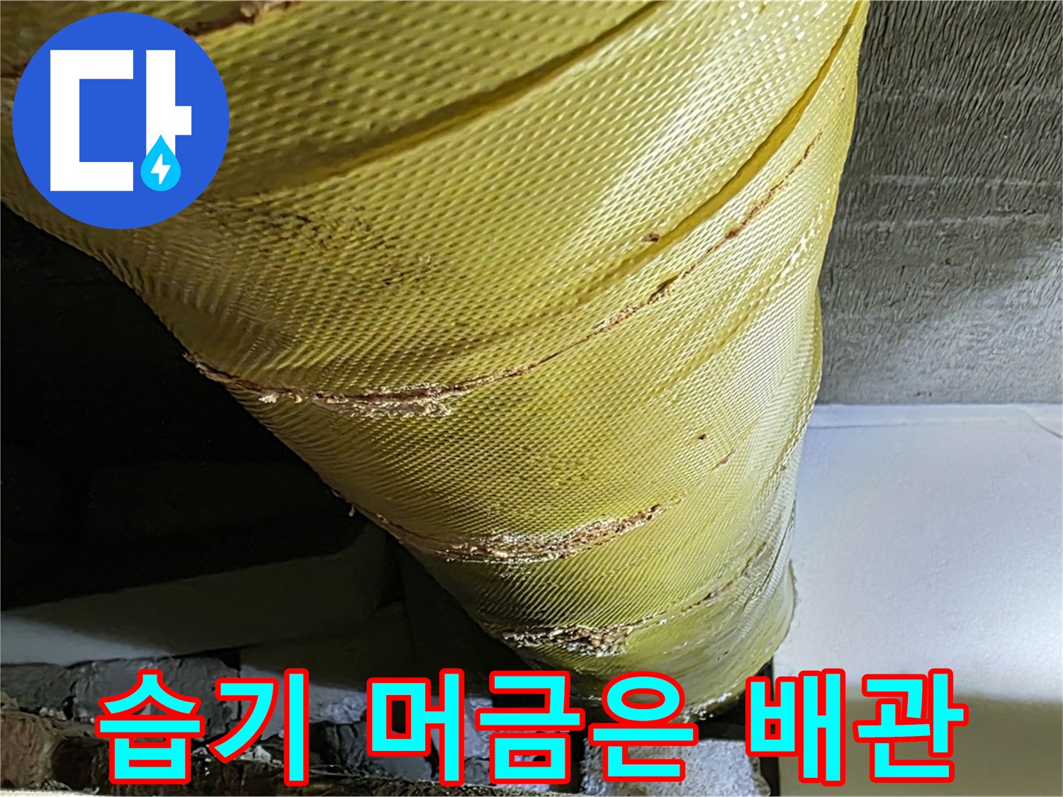 습기 머금은 배관 - 곰팡이 발생 - 누수 위험