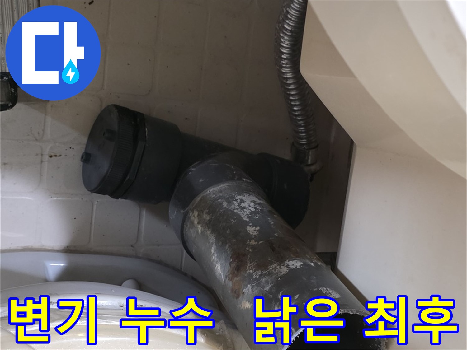 신사동 변기 오수관 누수 - 낡은 배관의 처참한 최후