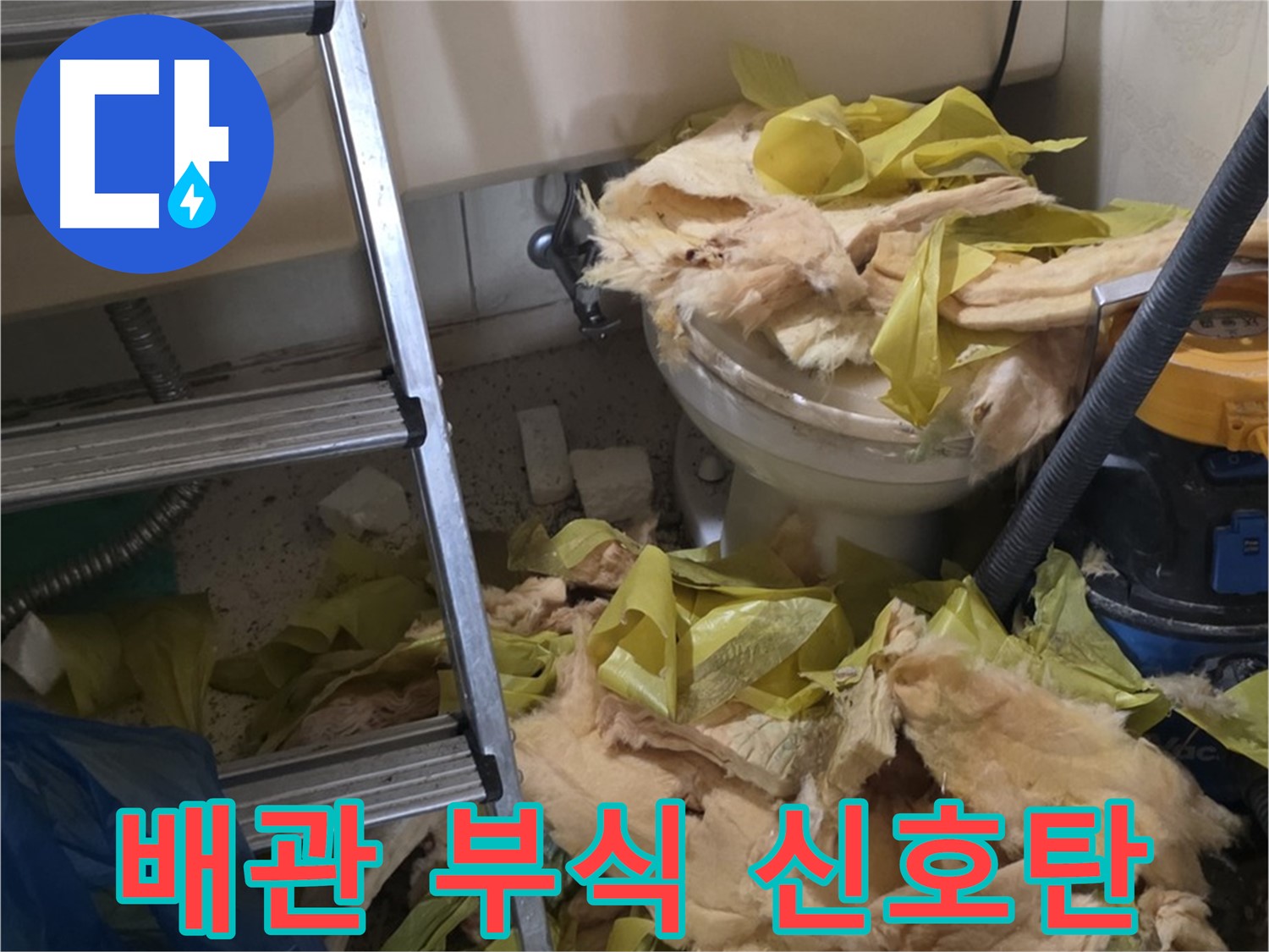 신사동 새절 누수 - 젖은 보온재, 배관 부식 위험 - 긴급 점검