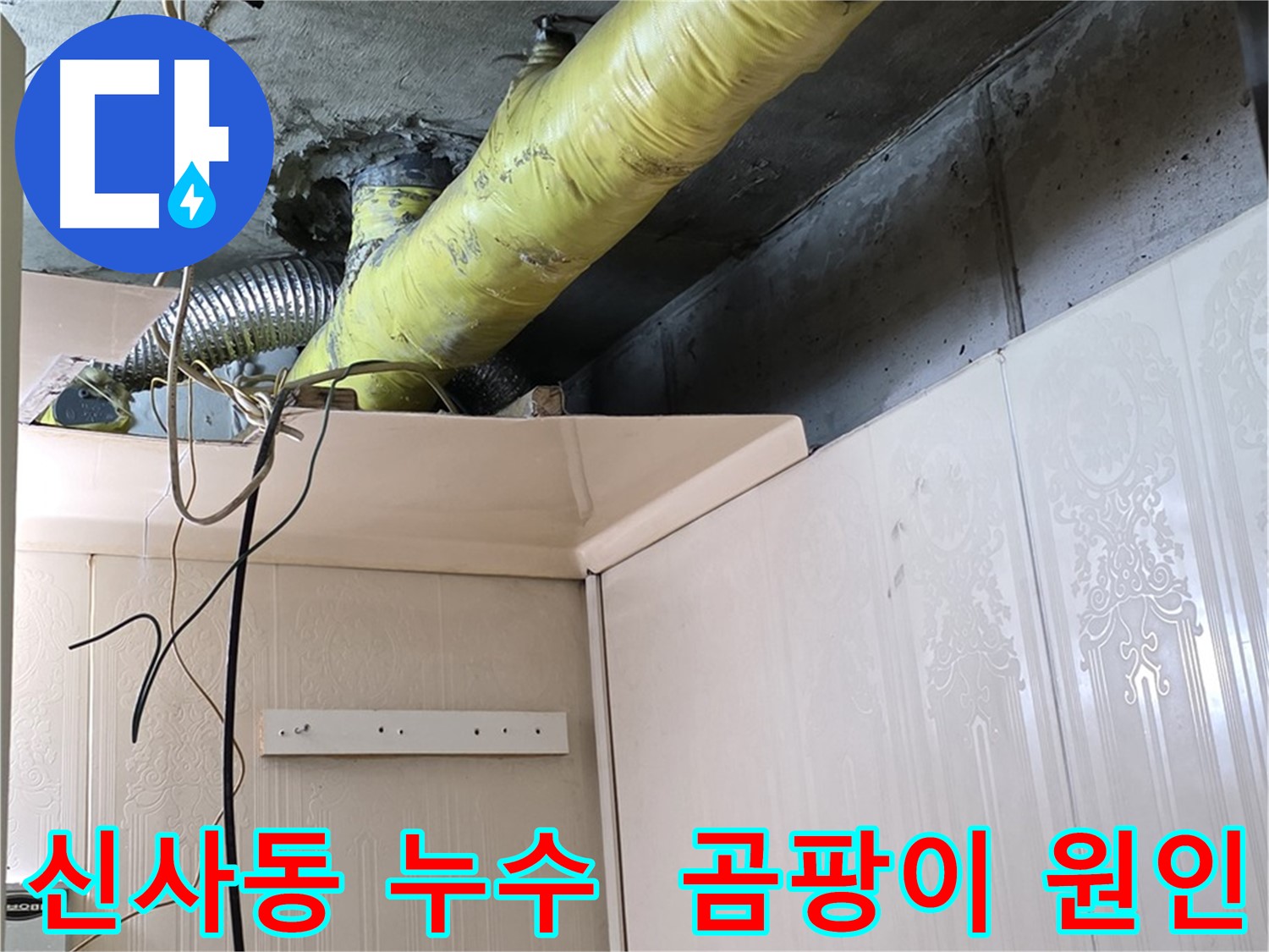 신사동 새절역현대아파트 누수 - 배관 주변 곰팡이 발생 원인 분석