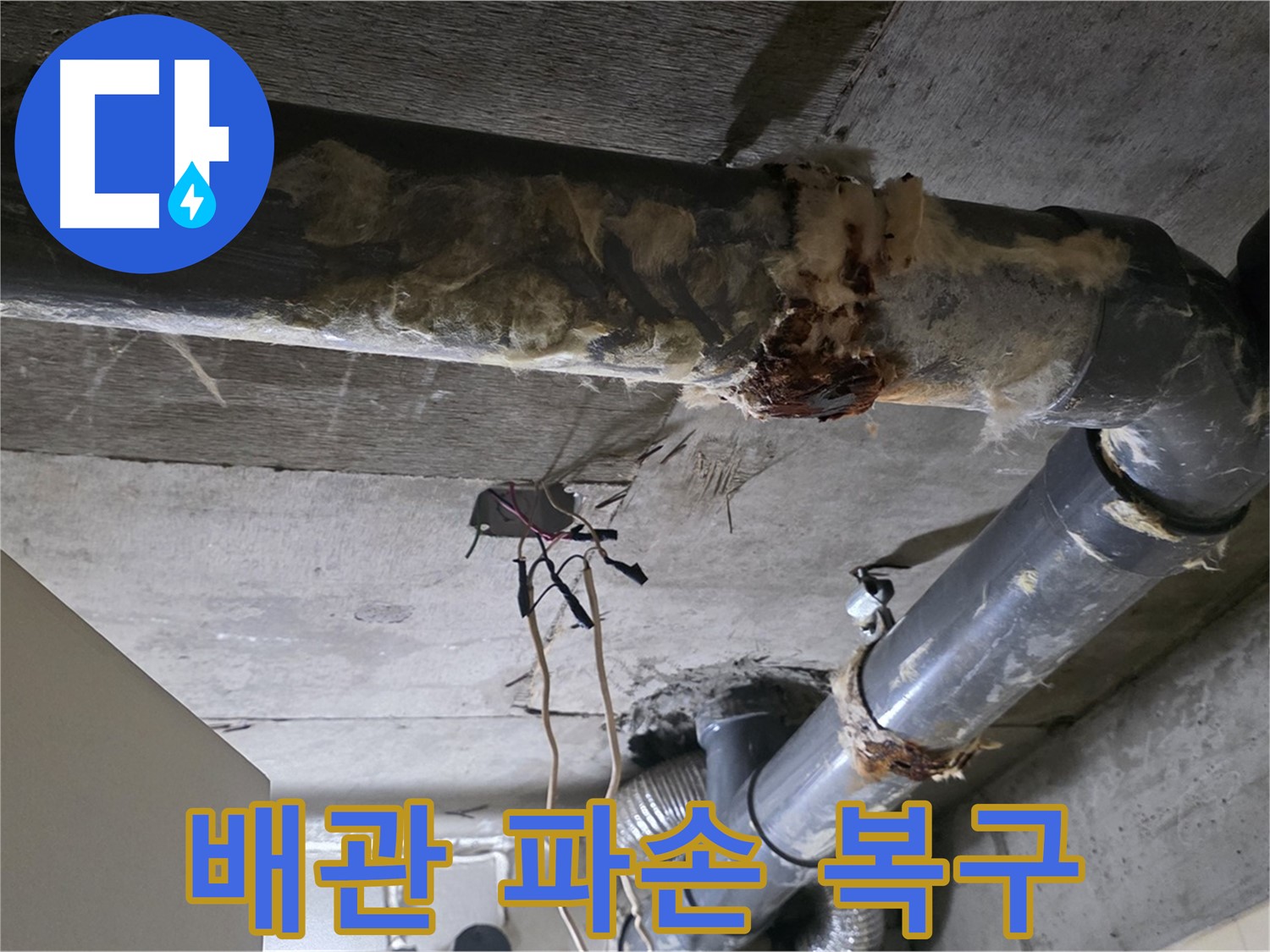 신사동 새절역현대아파트 누수 - 오수 배관 파손 신속 복구