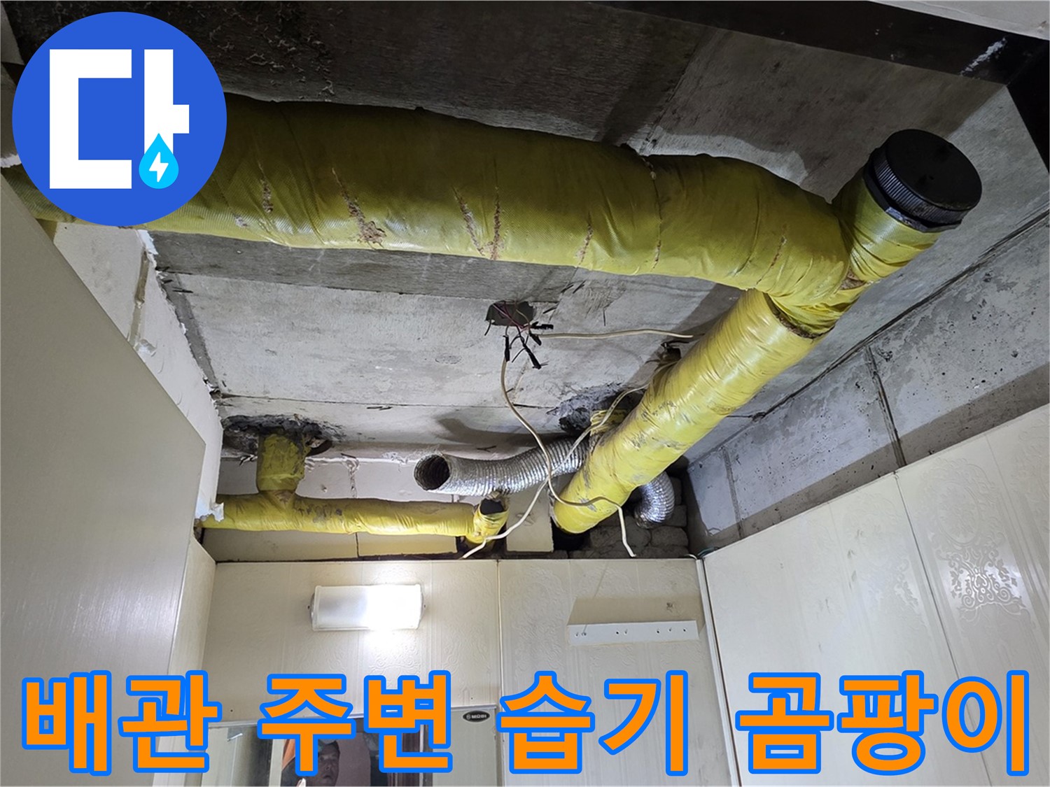 신사동 - 은평구 천장 배관 - 습기 및 곰팡이