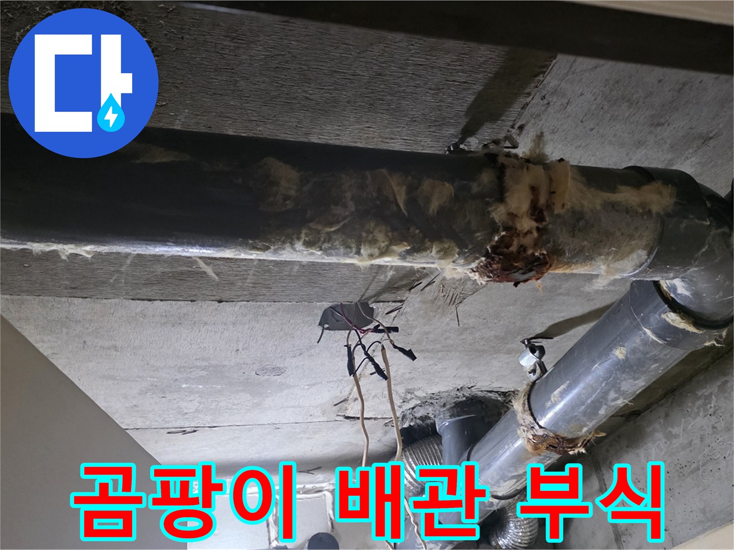 신사동/새절역 - 낡은 보온재 속 곰팡이와 부식된 하수 배관