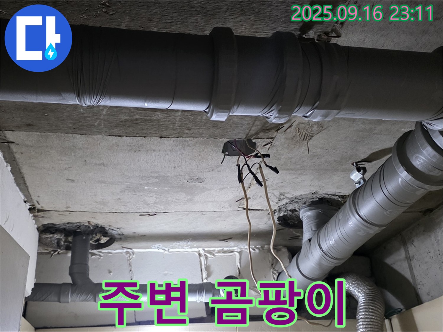 주변 곰팡이 - 은평구 신사동 새절역 현대아파트, 배관 누수 주변 곰팡이 발생