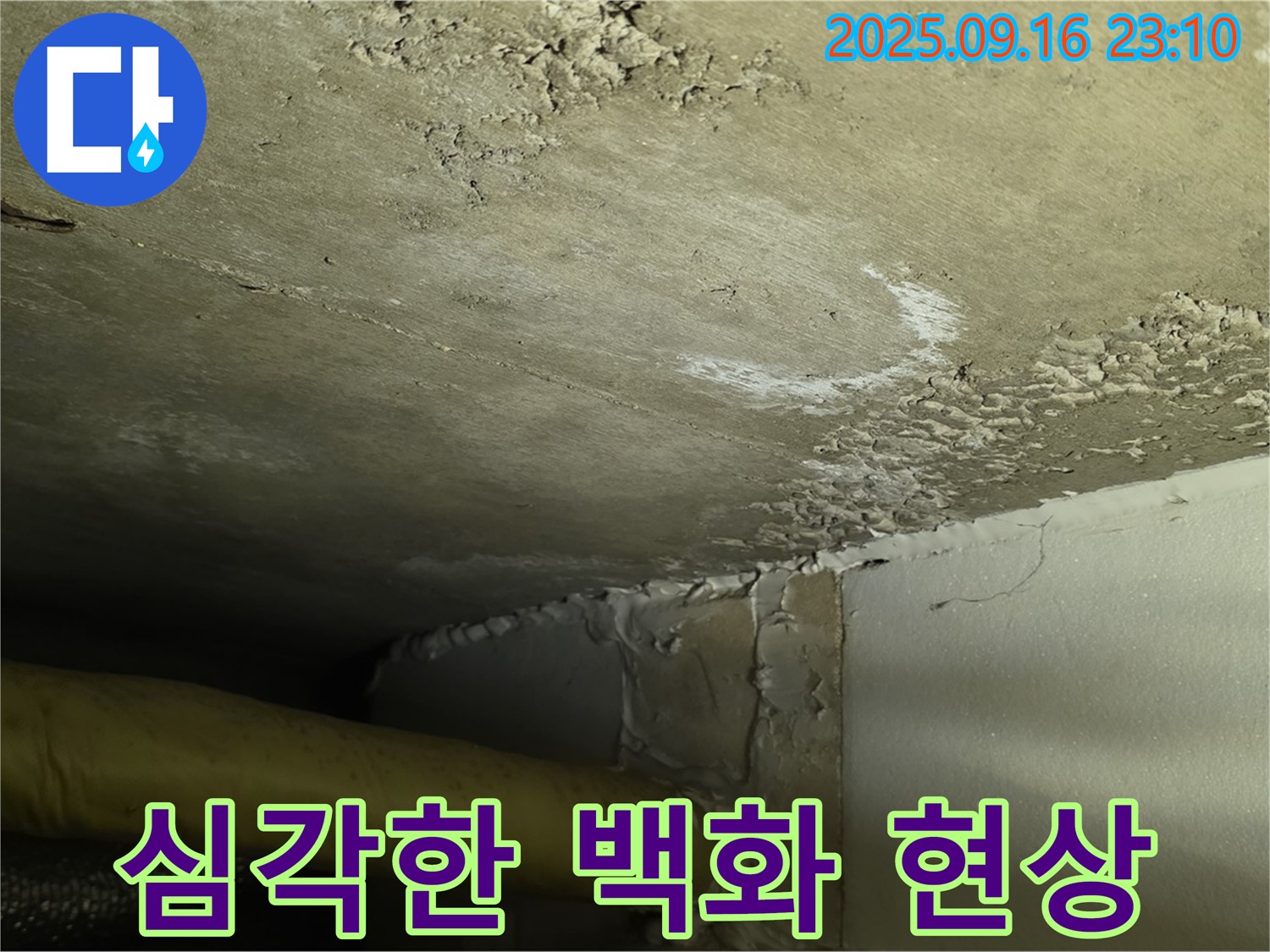 천장 누수 - 심각한 백화 현상으로 건물 손상 우려