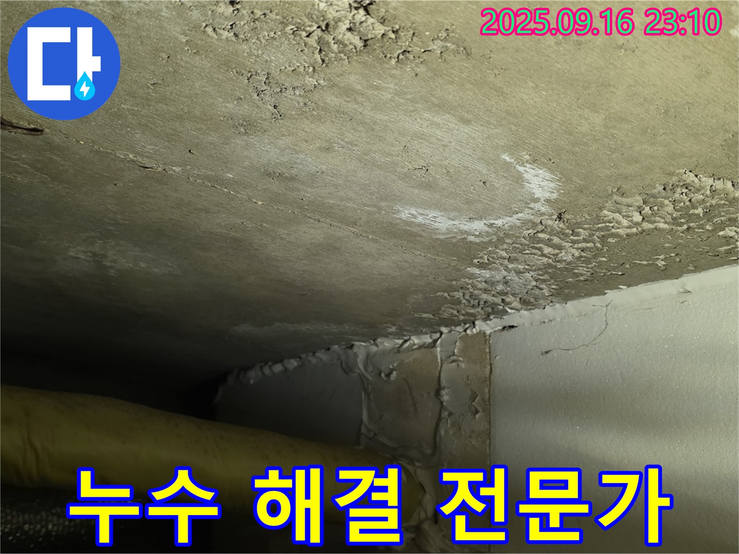천장 누수 해결 전문가 - 초기 누수 완벽 해결 약속