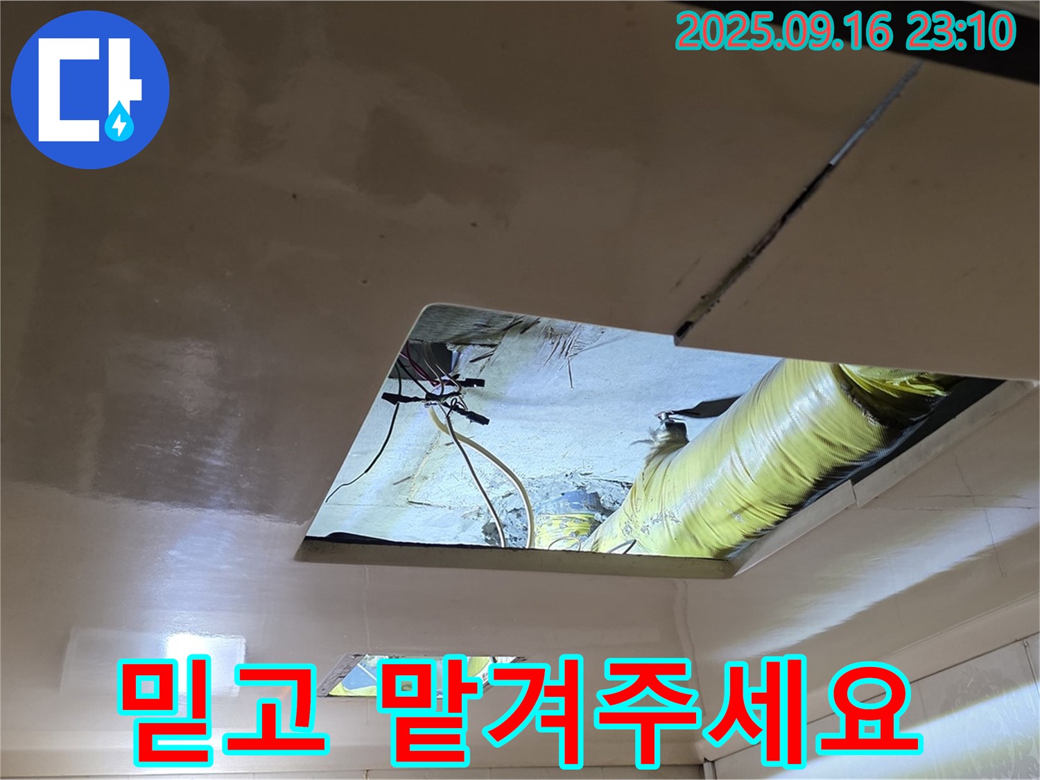 천장 속 점검 - 누수 해결 전문가가 꼼꼼하게 천장 내부를 점검하고 있습니다.
