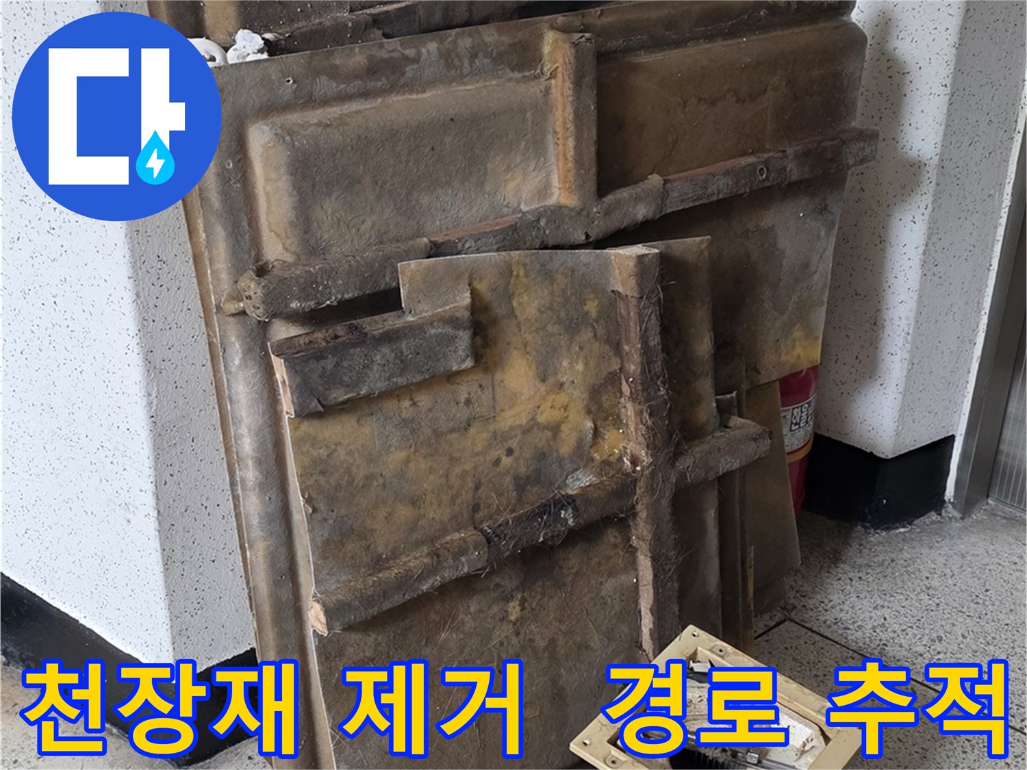 천장재 걷어내고 누수 경로 추적 시작!