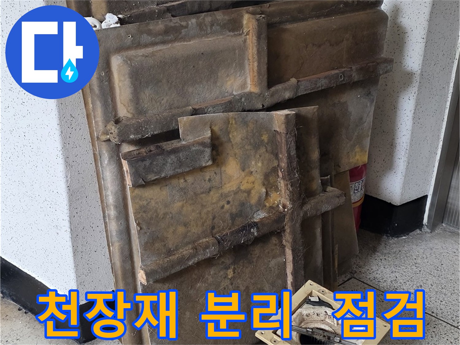 천장재 꼼꼼 분리 후 누수 점검 시작