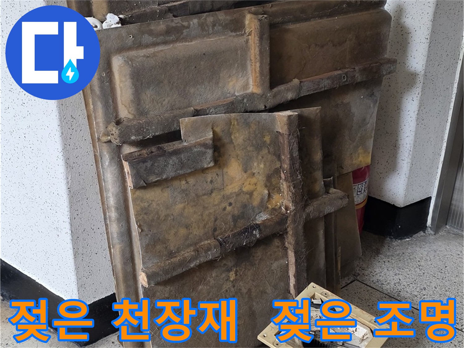 축축한 천장재와 조명 - 빠른 누수 해결 필요