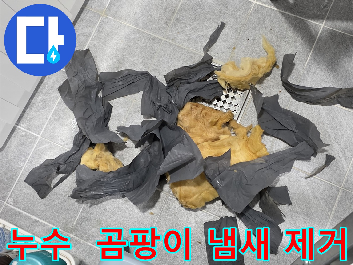 곰팡이 방음재 제거 - 냄새까지 싹!