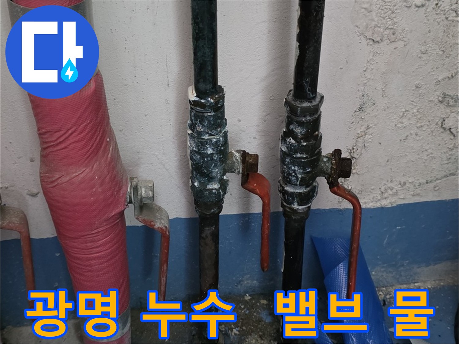 밸브 주변 물 흥건 - 광명 누수 긴급 점검