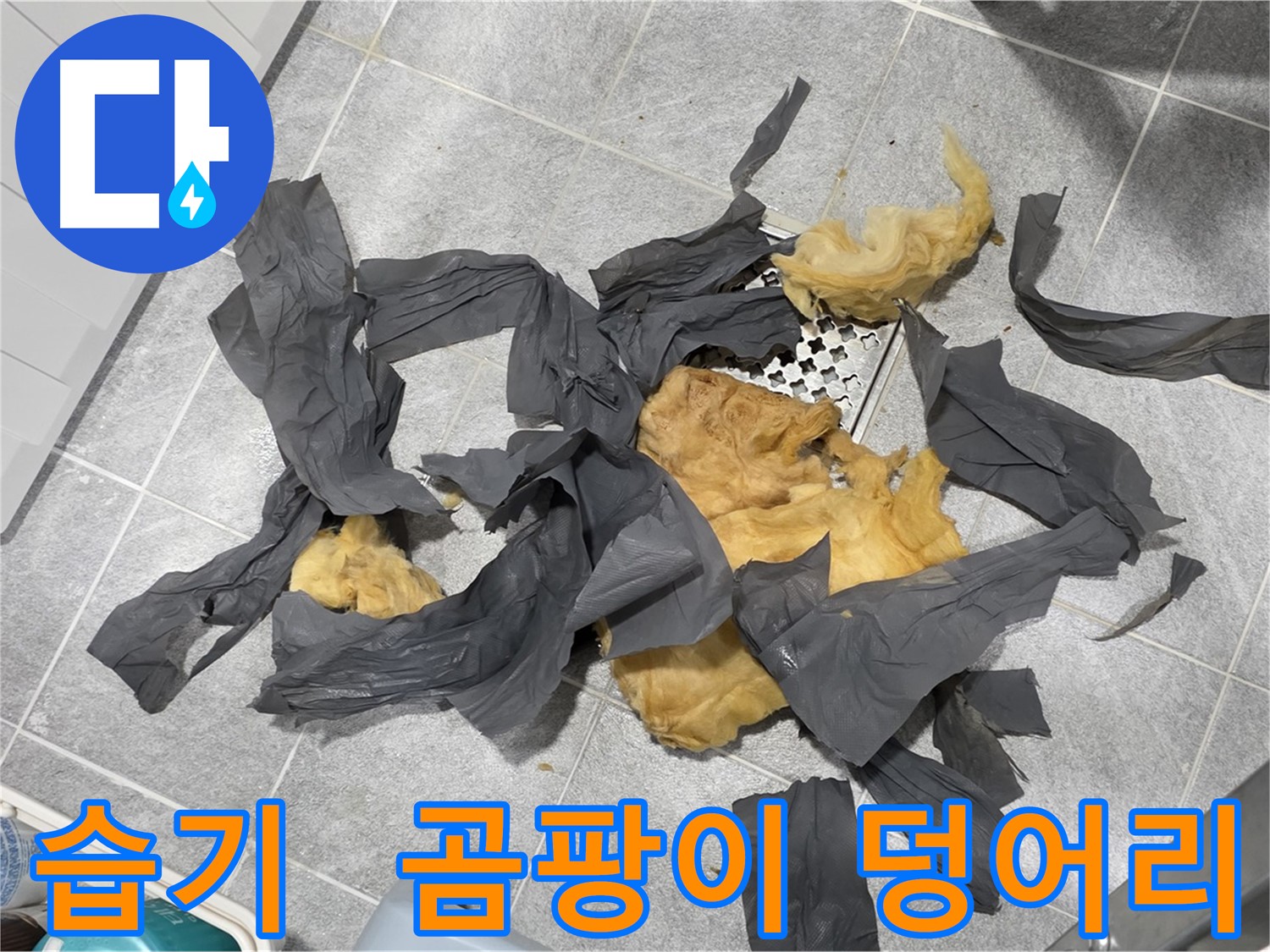 습기를 머금은 하수 배관 방음재 - 곰팡이 번식