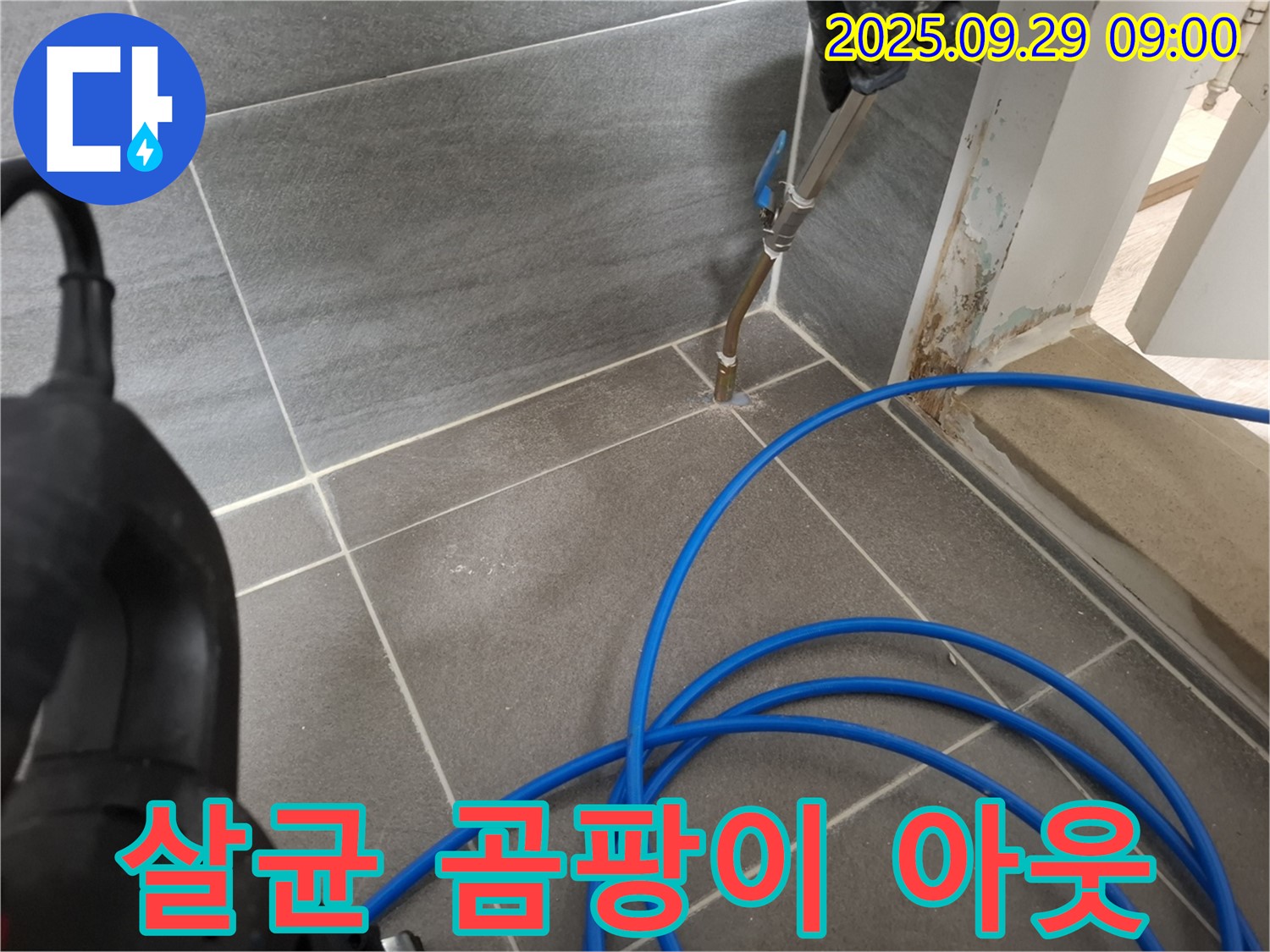 고온 살균 곰팡이 아웃 - 틈새 곰팡이를 제거하고 누수를 방지합니다.