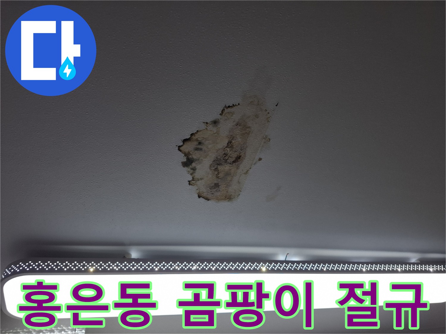 곰팡이 얼룩진 천장 - 누수 문제의 심각한 절규