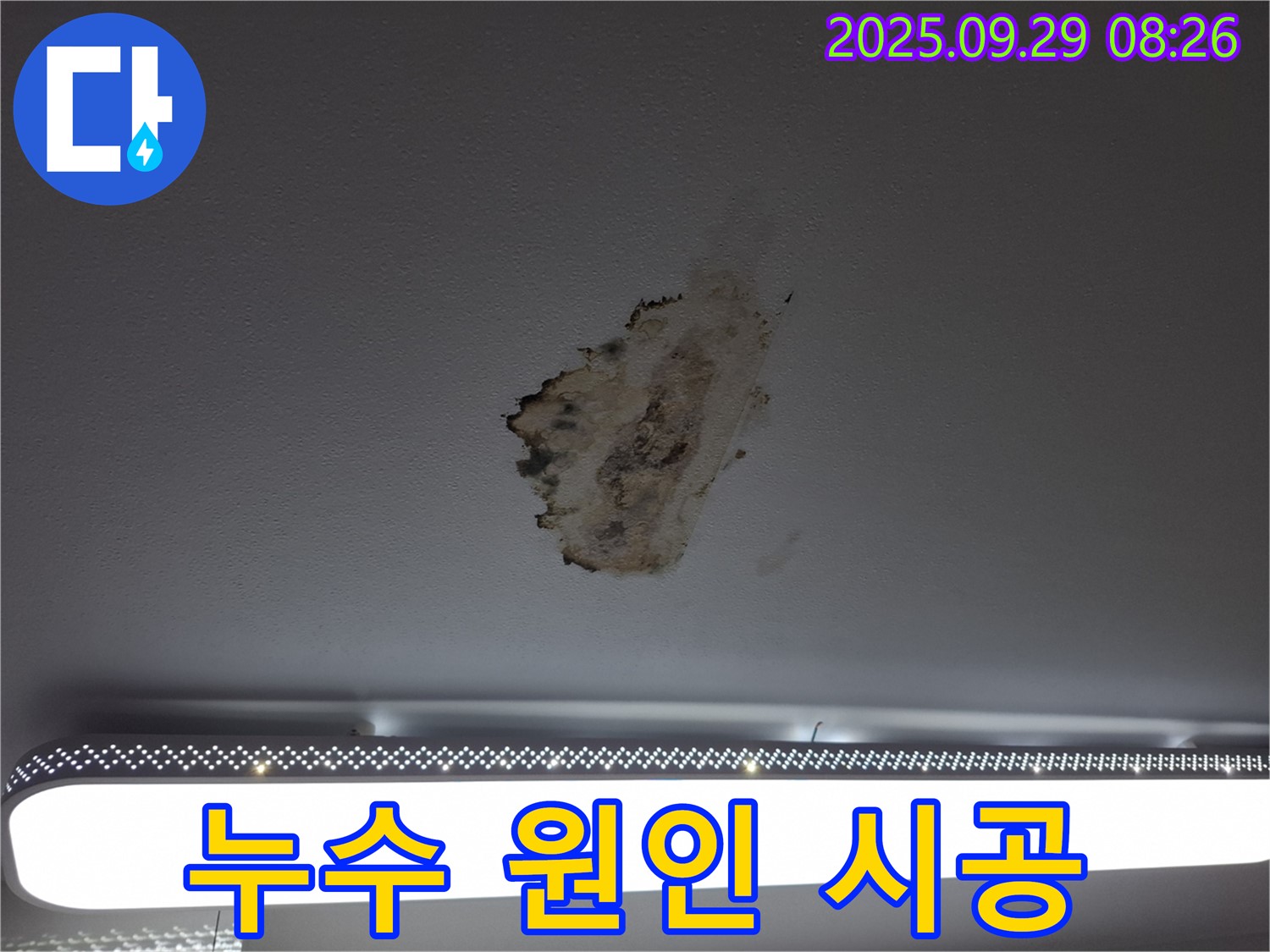 곰팡이 핀 천장 - 누수 원인 - 완벽 시공