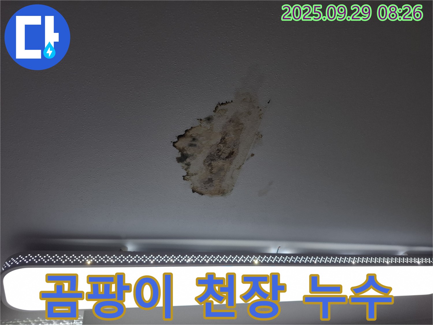 곰팡이 핀 천장 - 누수 흔적 - 꼼꼼한 점검 필수