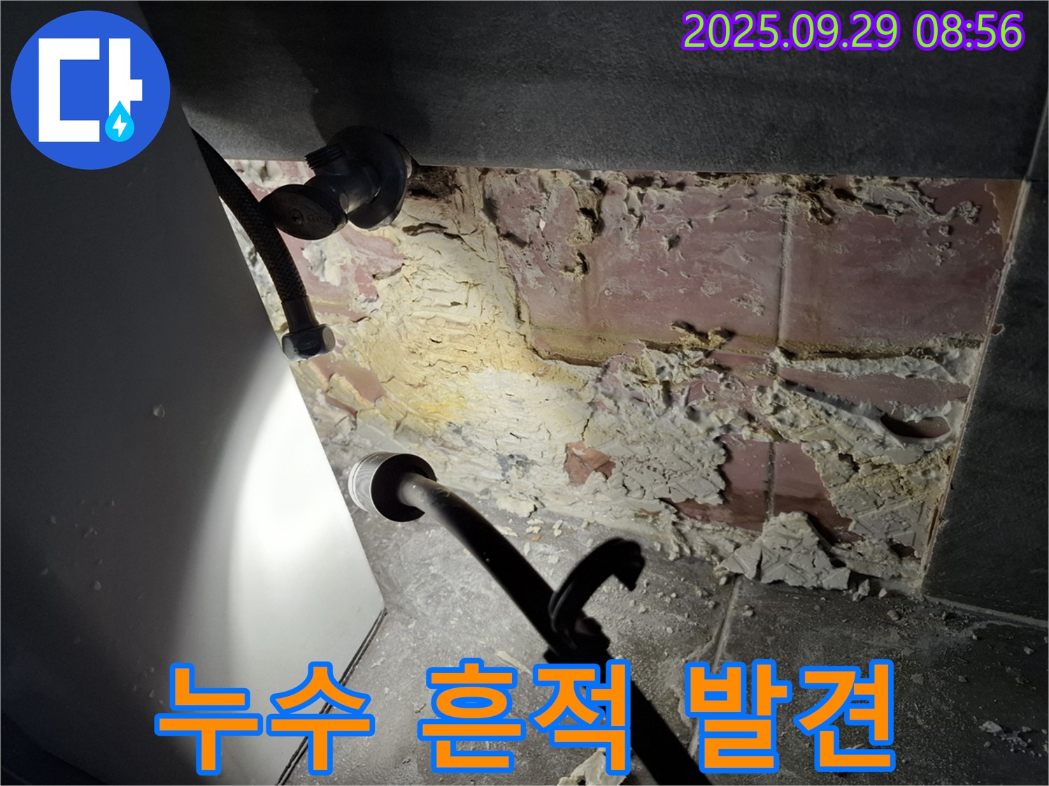 서대문구 누수 흔적 발견 - 벽면 손상과 곰팡이 발생
