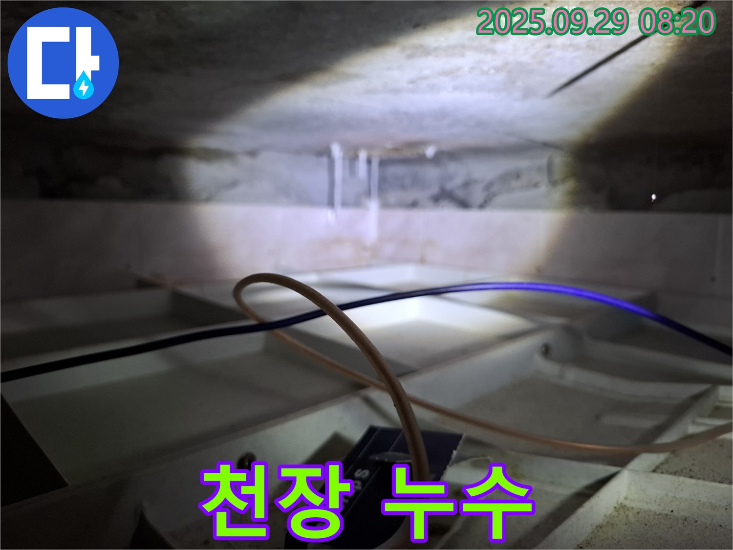 서대문구 홍은동 천장 누수 - 천장에서 물이 떨어지는 모습