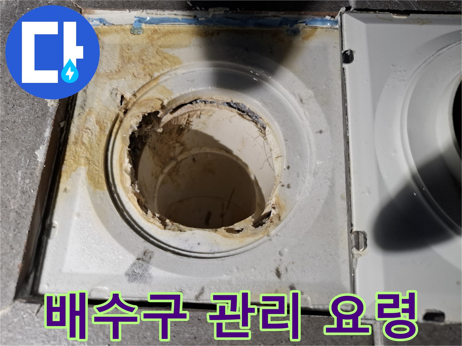 욕실 배수구 관리 요령 - 누수 예방 및 수명 연장