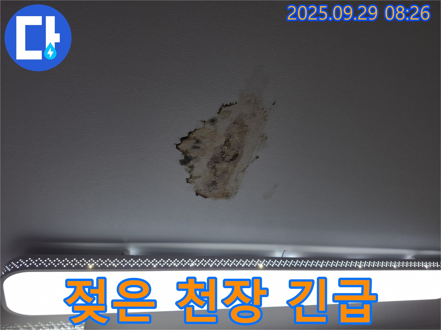젖은 천장 - 긴급 누수 - 빠른 조치