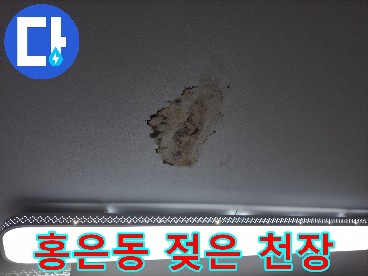 젖은 천장 - 누수의 고통, 이제 그만