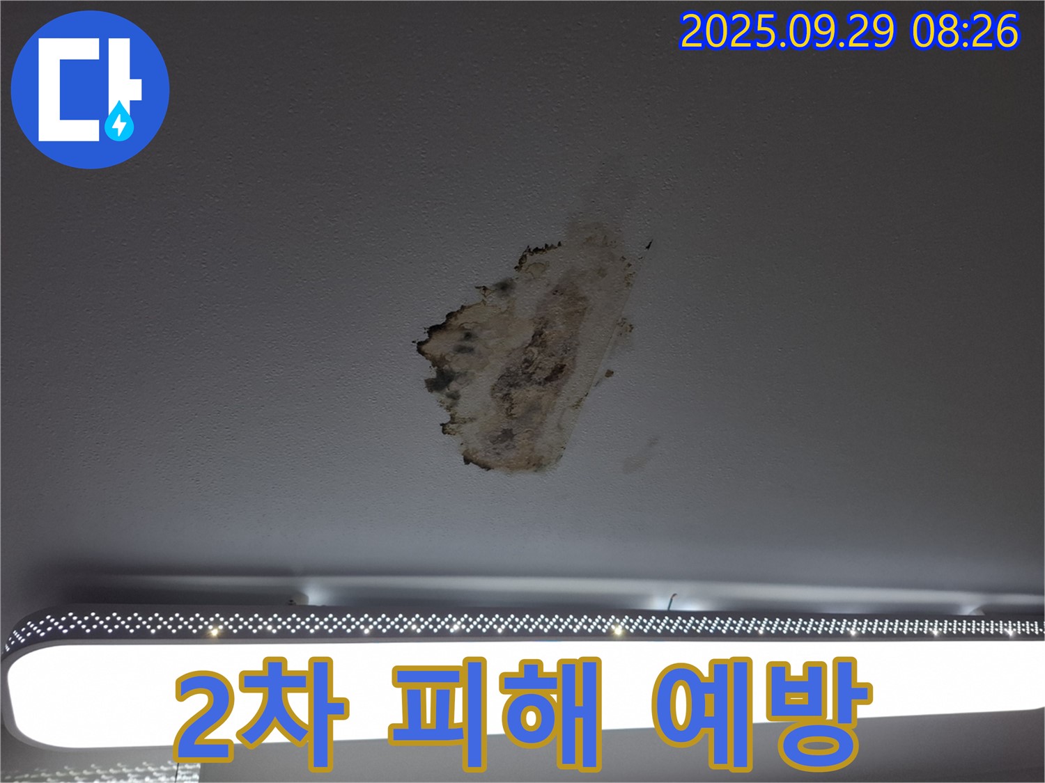 천장 누수 - 2차 피해 - 신속 진단
