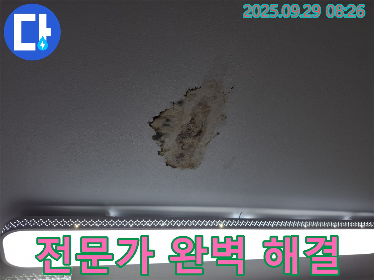 천장 누수 - 전문가 - 완벽 해결