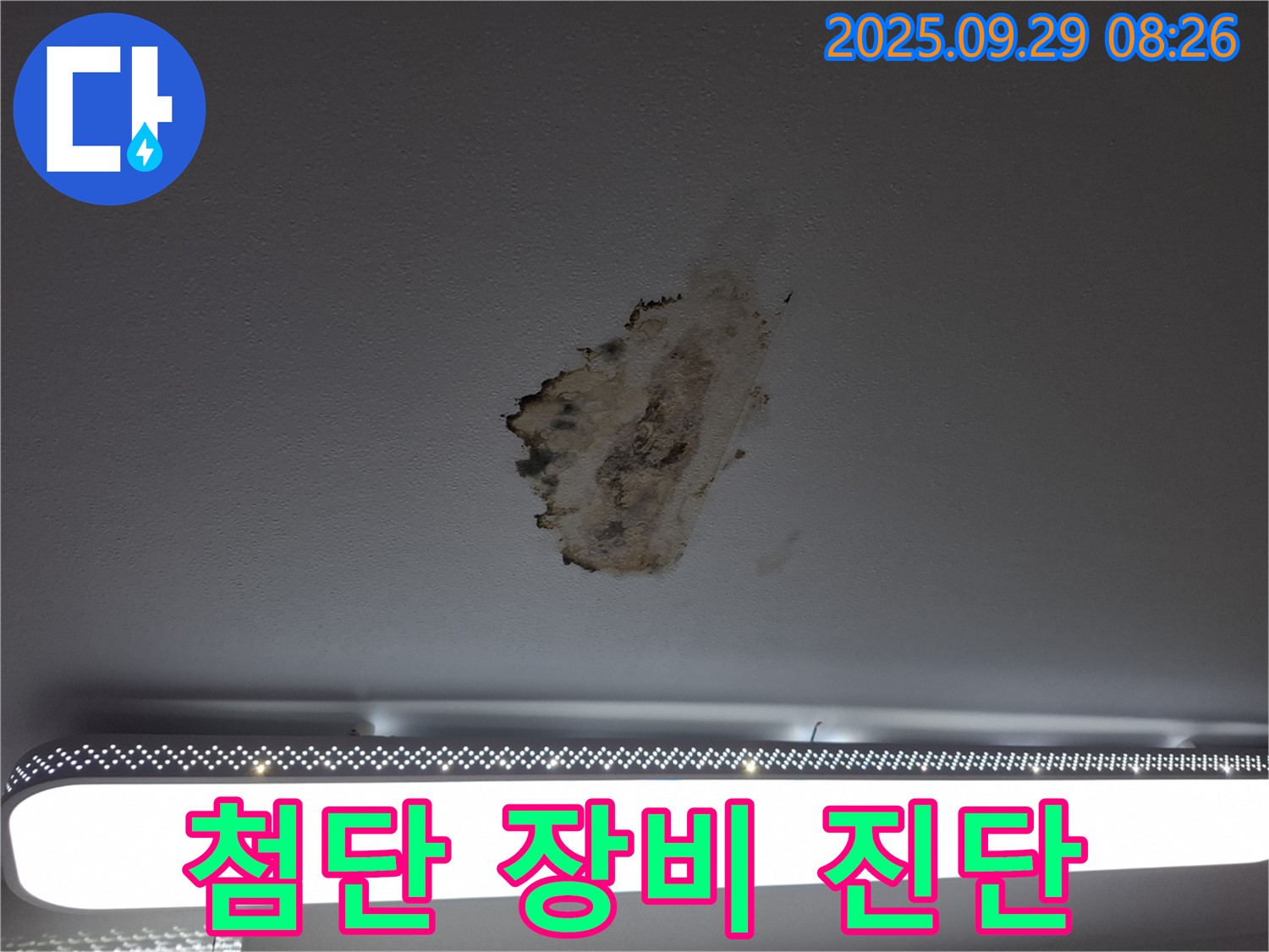 천장 누수 - 첨단 장비 - 정확한 위치