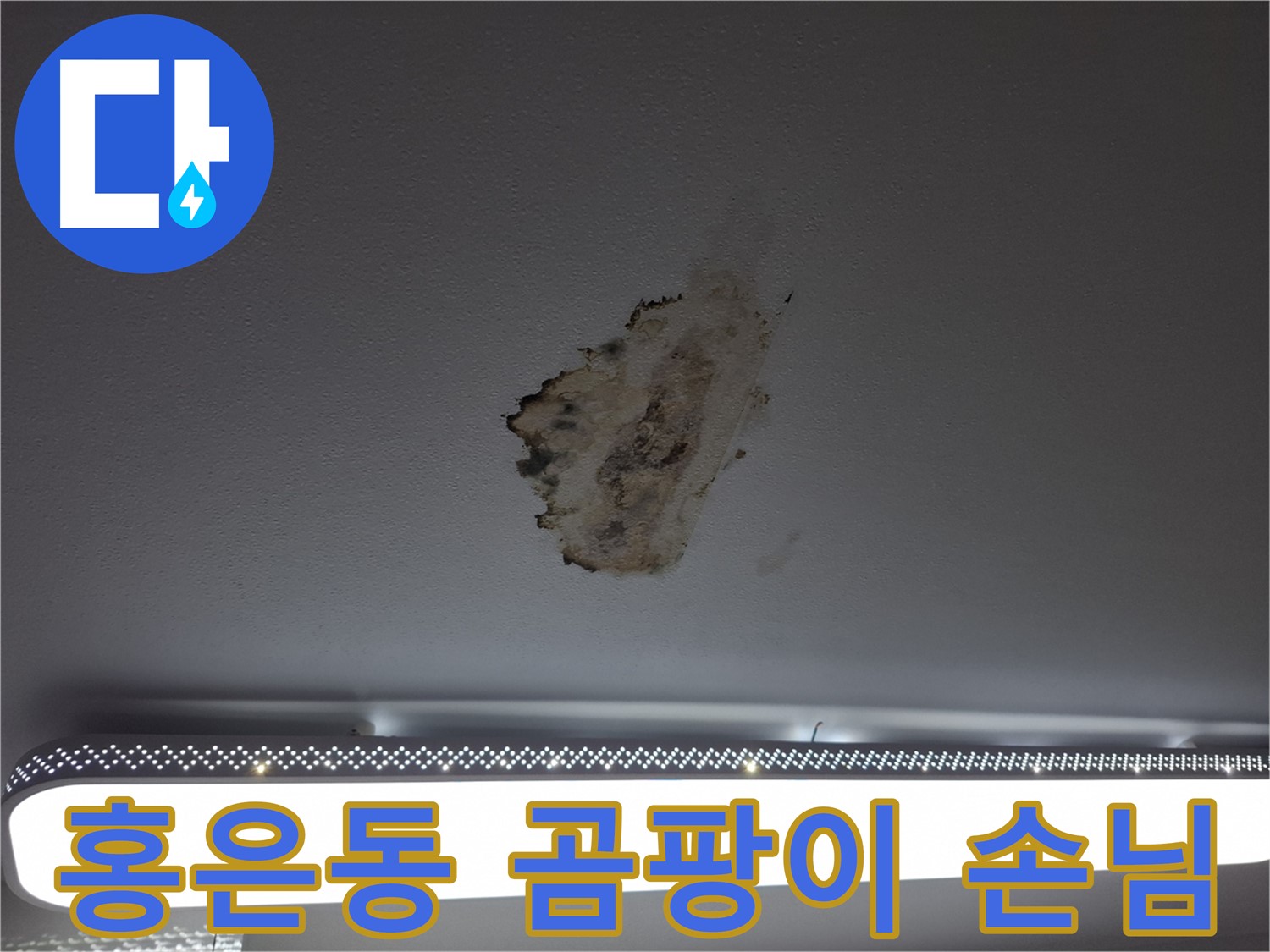천장 누수와 곰팡이 - 불쾌한 손님의 방문