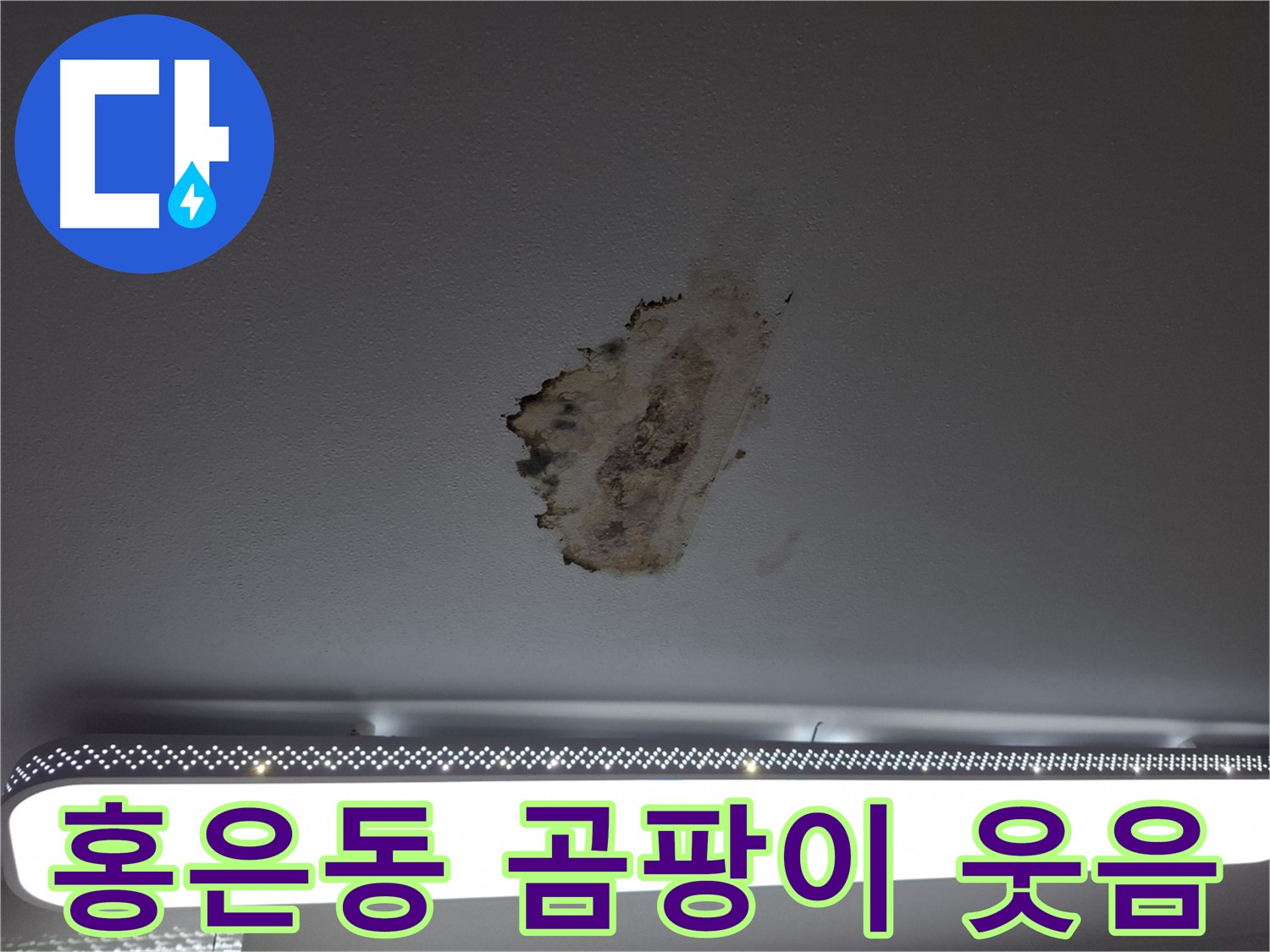 천장 누수와 곰팡이 - 사라진 웃음을 찾아드립니다