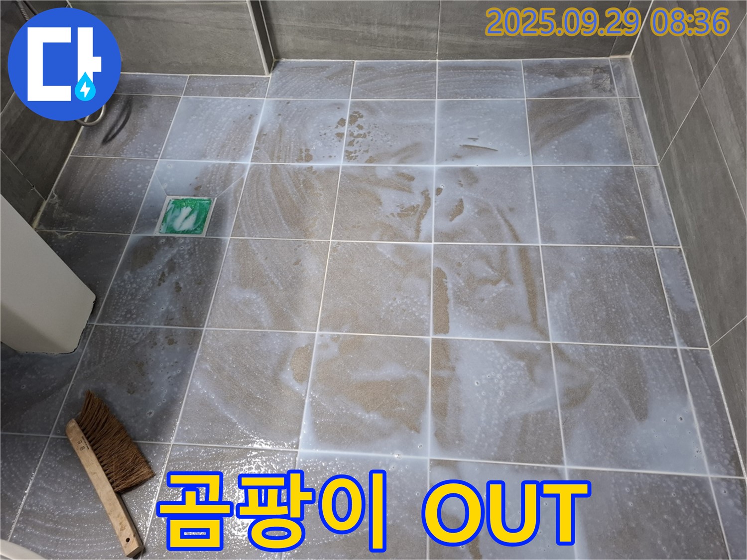 타일 틈새 - 청소로 곰팡이 OUT!