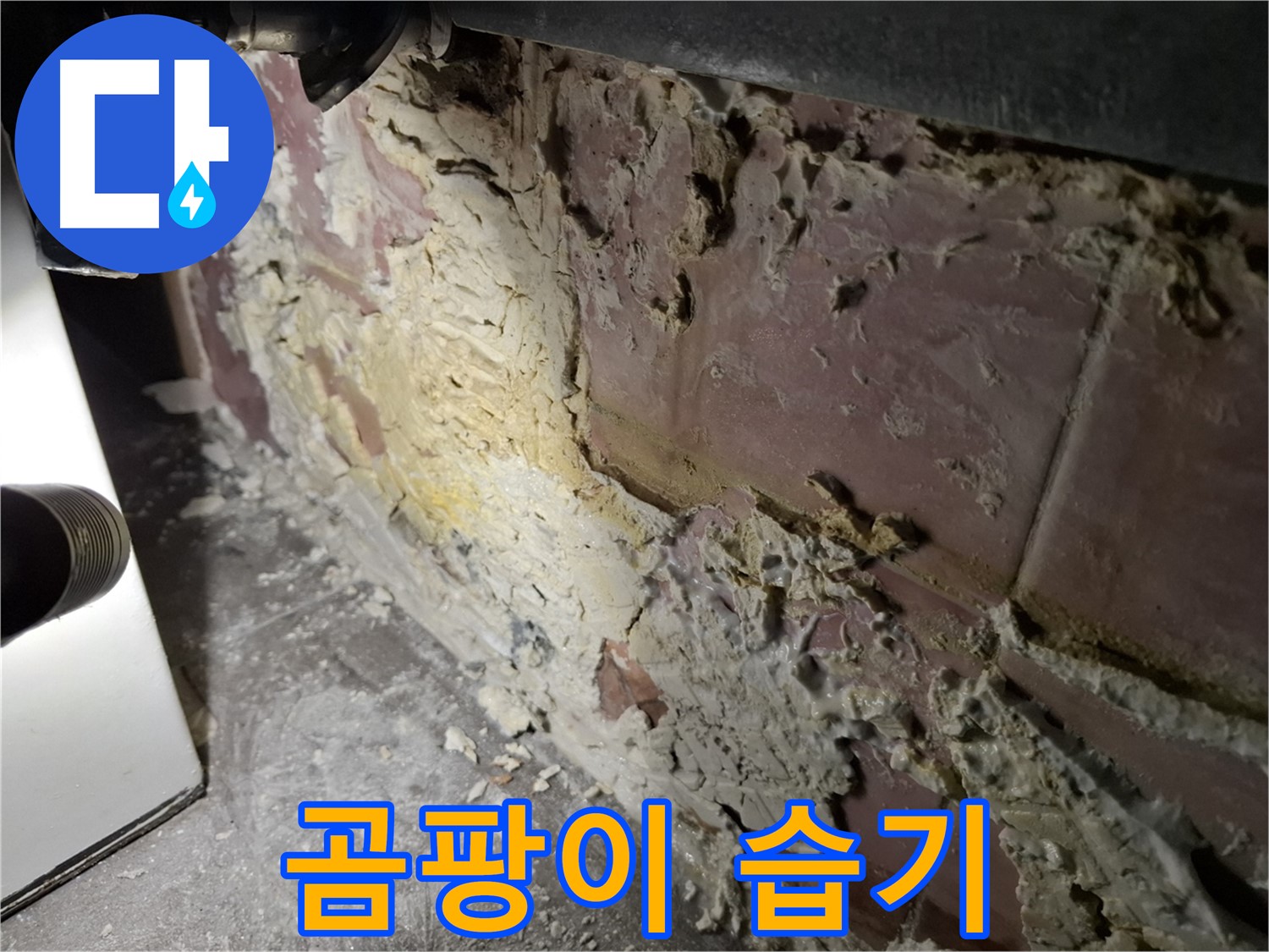 홍은동 누수 - 곰팡이와 습기로 인한 피해